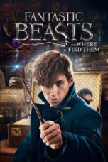 Nonton film Fantastic Beasts and Where to Find Them (2016) idlix , lk21, dutafilm, dunia21